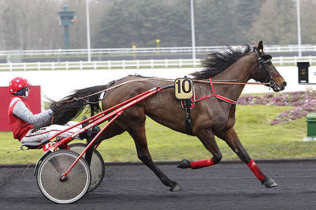 Actualités Hippiques